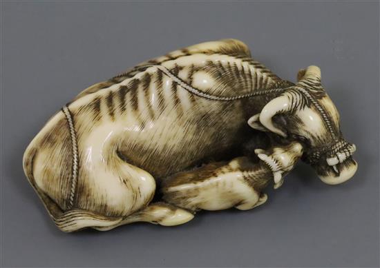 A fine Japanese ivory netsuke of an ox and calf, signed Tomotada, Kyoto School, c.1760-80, L. 6cm